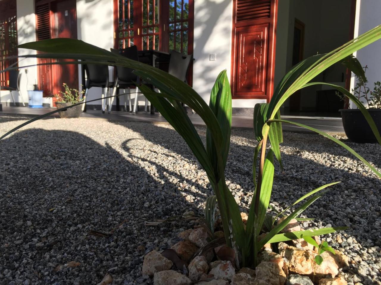 Sigiriya Green Garden Homestay מראה חיצוני תמונה