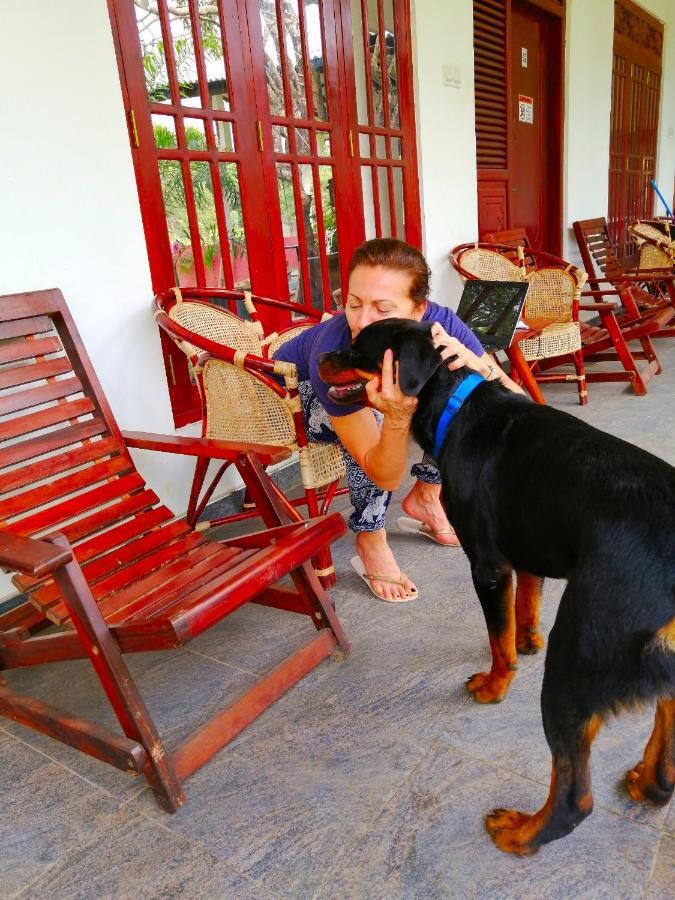 Sigiriya Green Garden Homestay מראה חיצוני תמונה